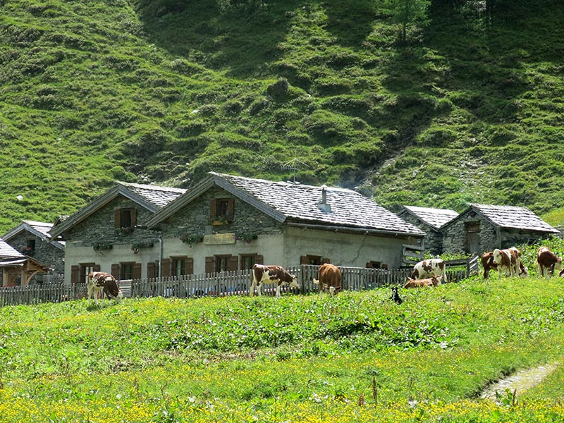 Strichwandkogel